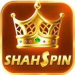 Shah Spin game